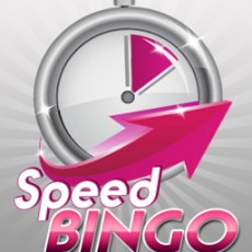speed bingo